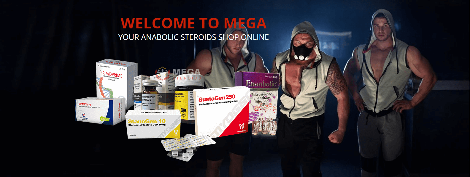 Mega Steroids Comでのテスト購入に関するフィードバック アナバーステロイド